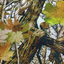 Mossy oak autumn камо